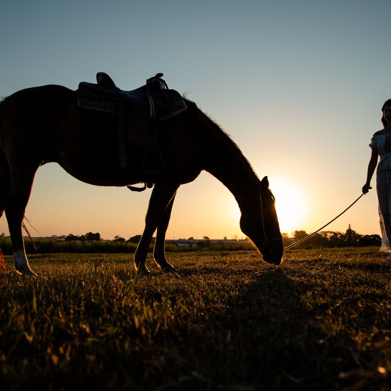 Ensaio Fotográfico de 15 Anos da Ester em Holambra – Um Sonho Florido - 2 - 1