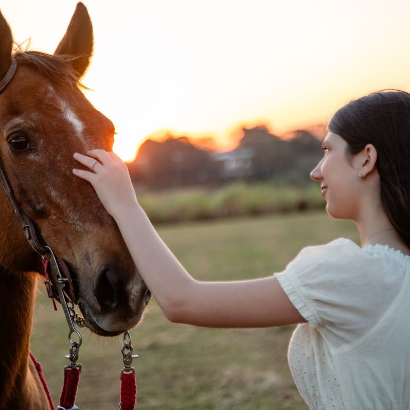 Ensaio Fotográfico de 15 Anos da Ester em Holambra – Um Sonho Florido - 2 - 2