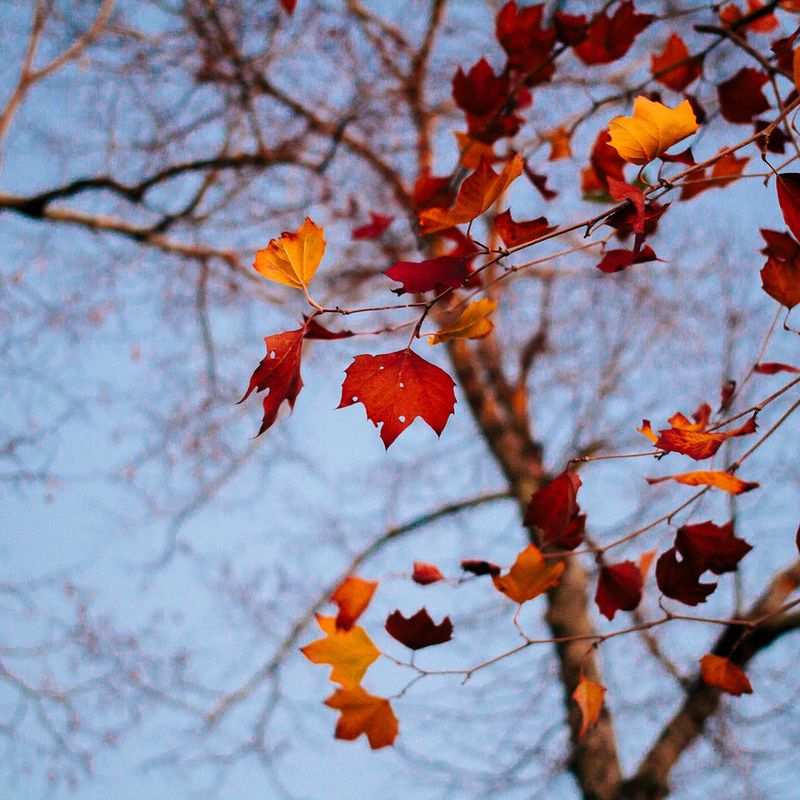 Destination Wedding - Italy - 3 - 2