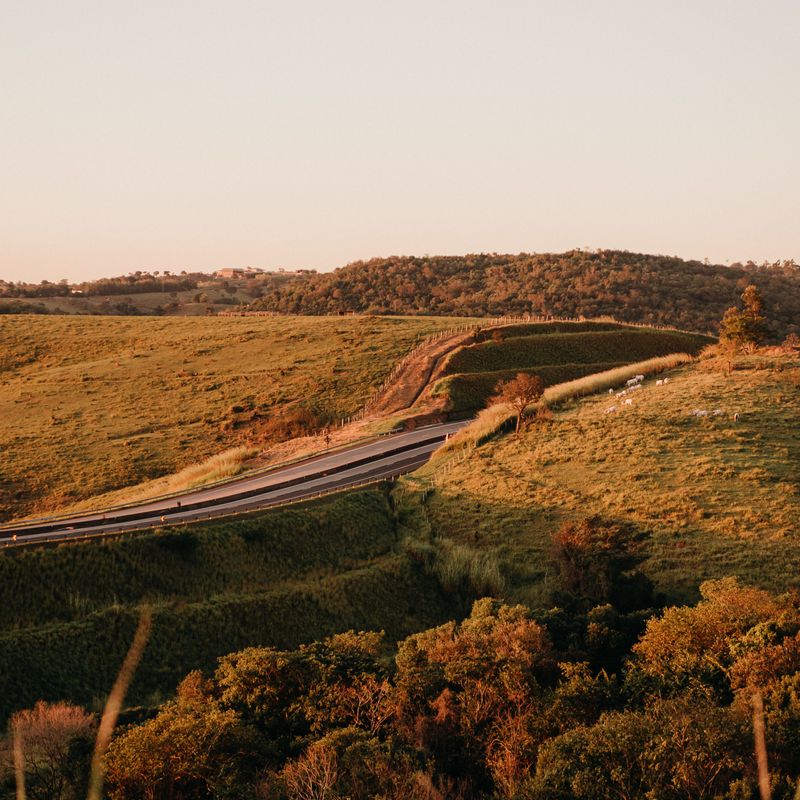 Fernanda + Murilo - 1 - 0
