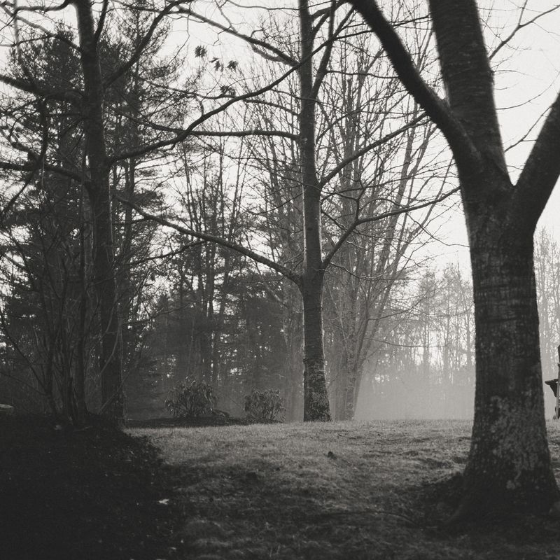 Nothing is Static by Ju Holck - 2 - 0