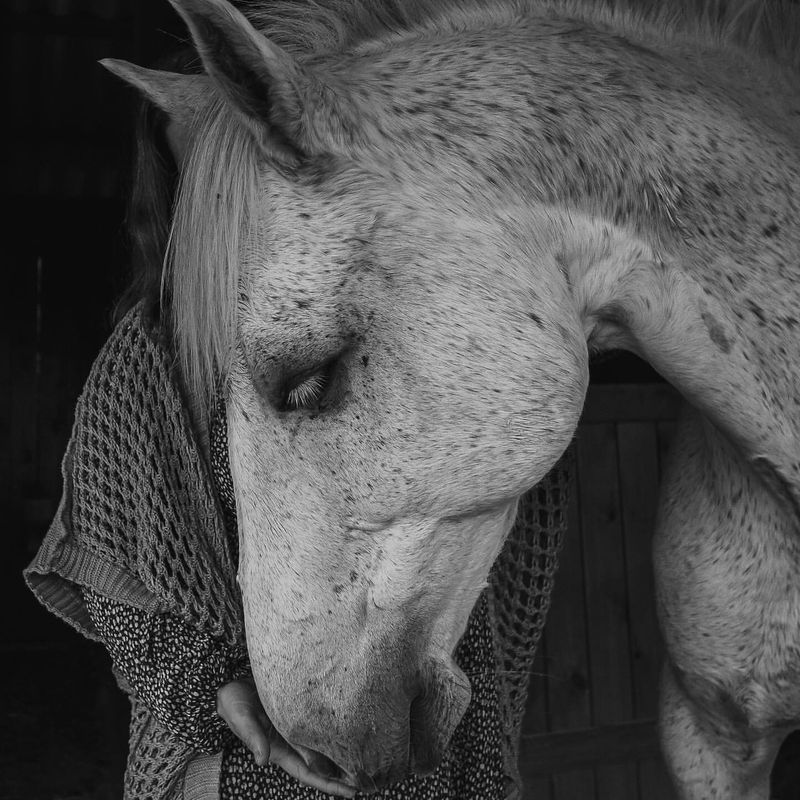 Cura-Dor de Vida - 3 - 0