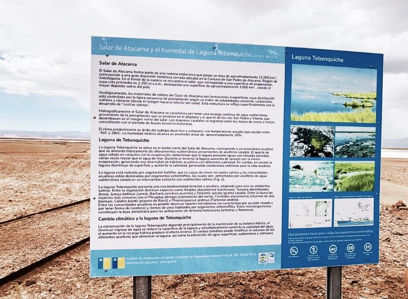 O que fazer no Deserto do Atacama com criança! - 59