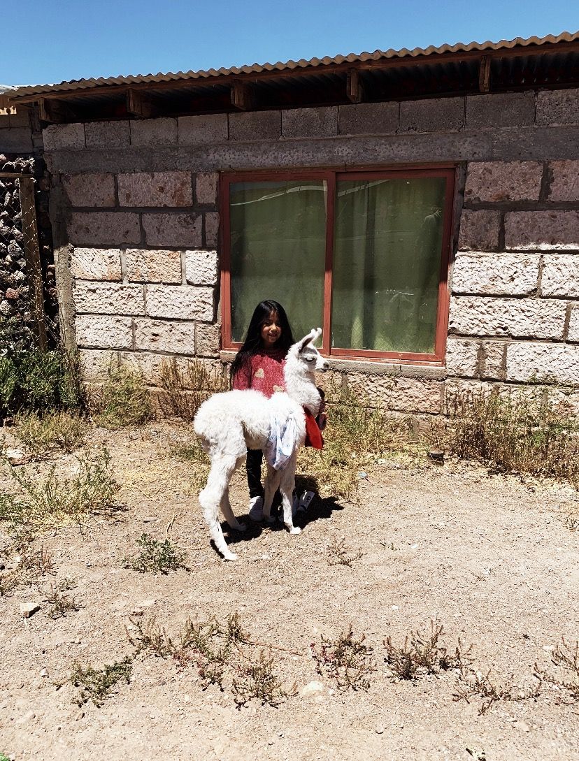 O que fazer no Deserto do Atacama com criança! - 72