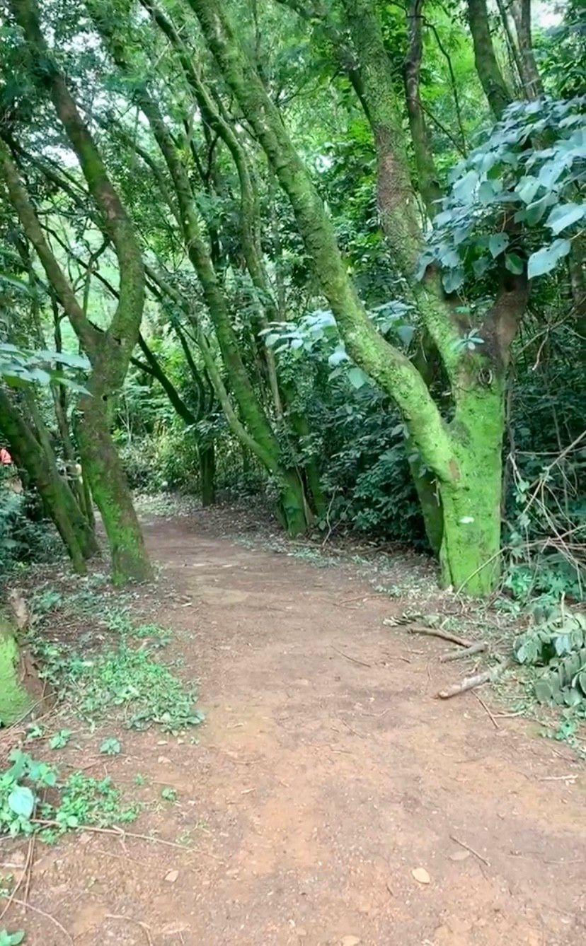 O que fazer em Araxá - 34