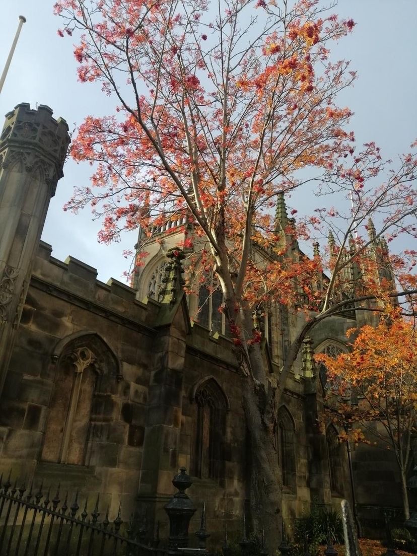 Celebrar o Natal em outro país - 92