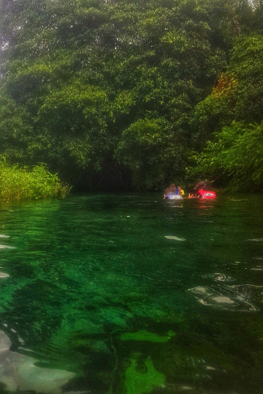 Bonito com crianças: o que você precisa saber! - 33
