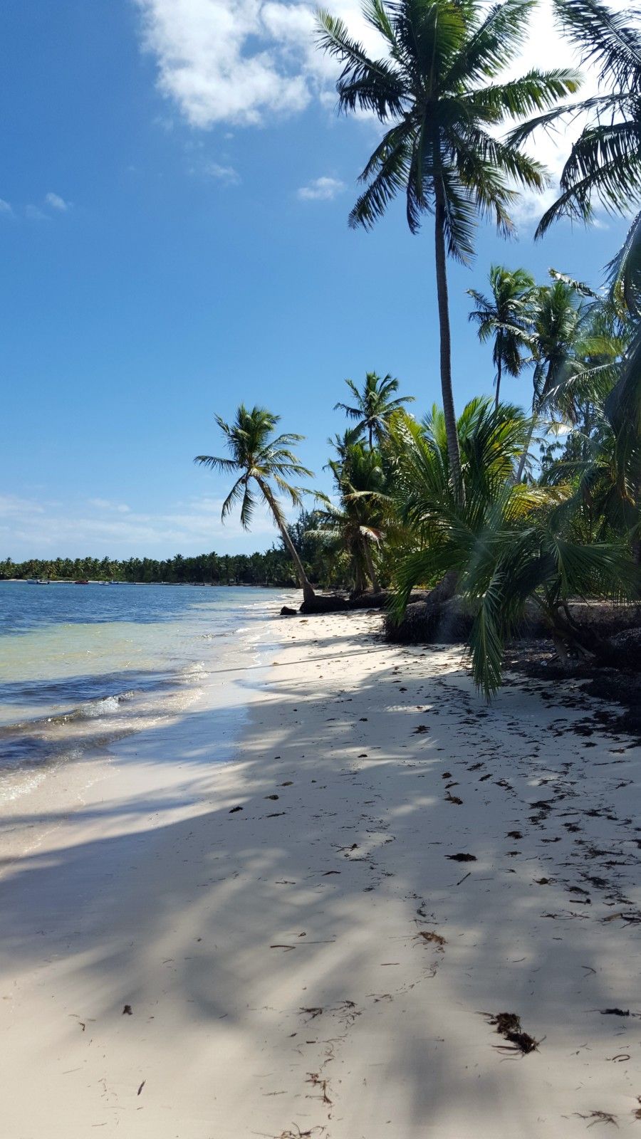 Lua de Mel na República Dominicana: um dos destinos preferidos! - 42