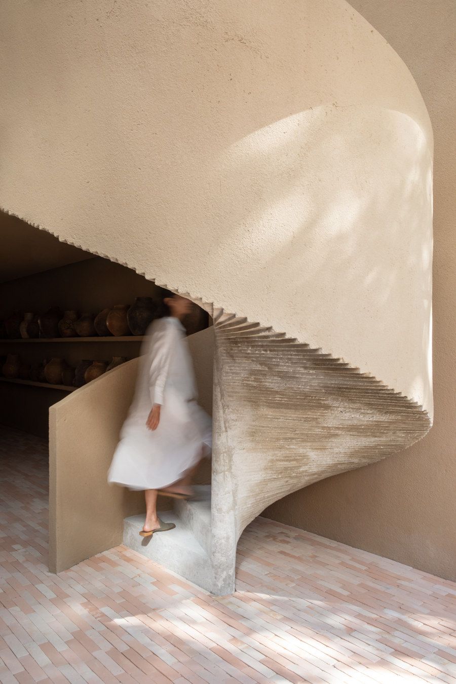 Dois Trópicos - botânica, café e arquitetura - 4