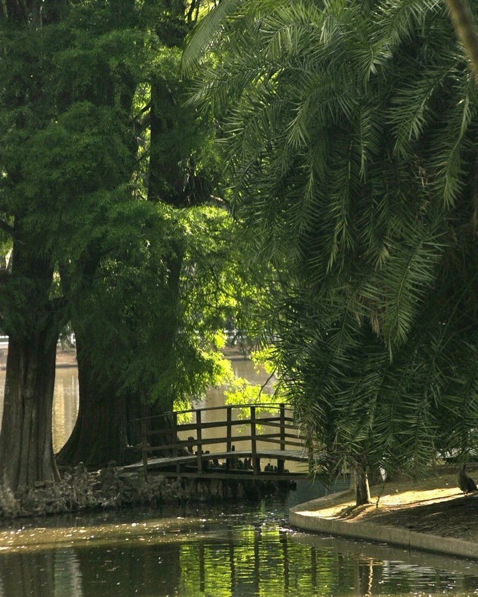 Serra da Cantareira - 6