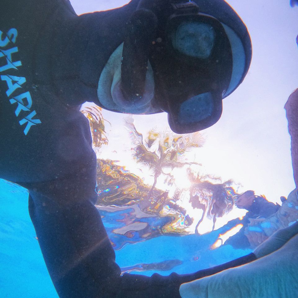 Curso Freediver Padi e Pesca Sub Avaré/SP - 5 - 30