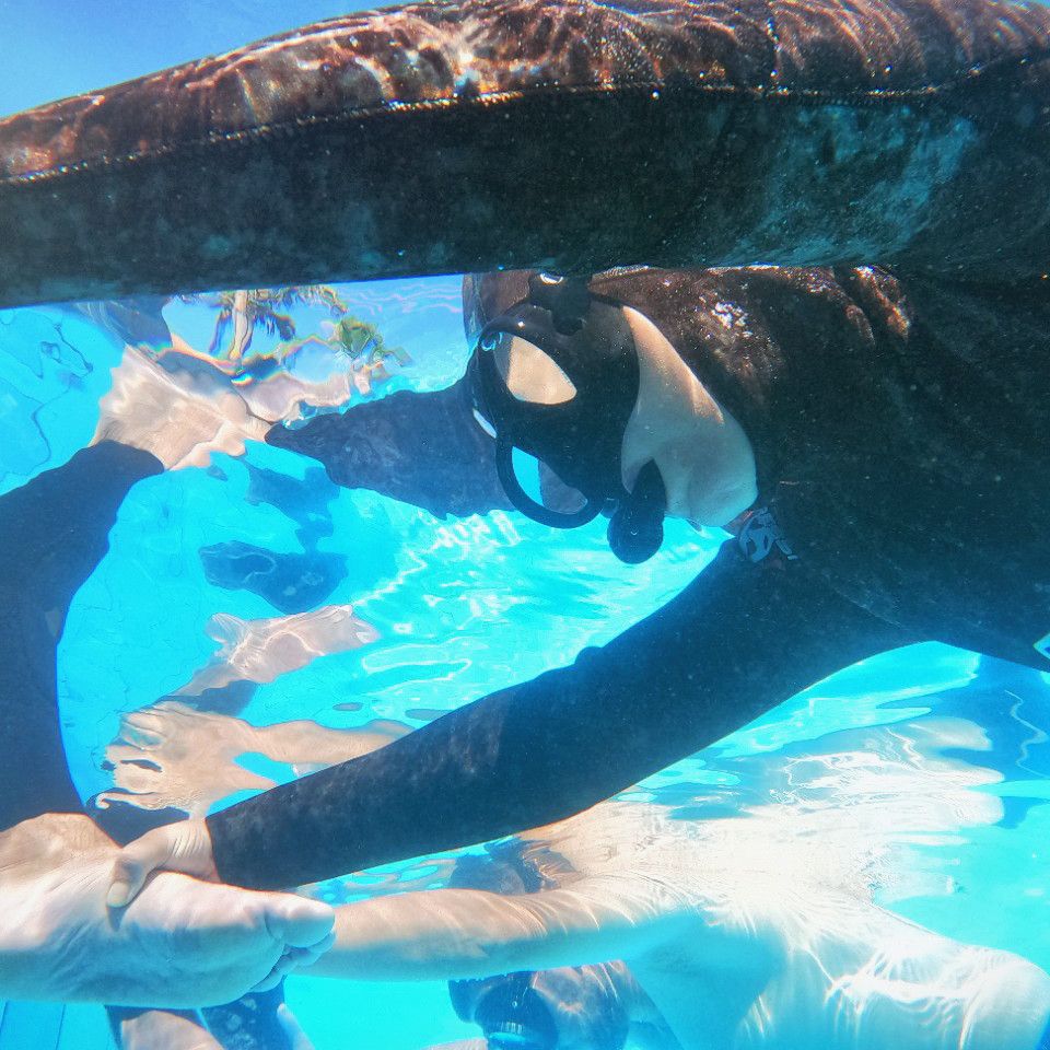 Curso Freediver Padi e Pesca Sub Avaré/SP - 5 - 27