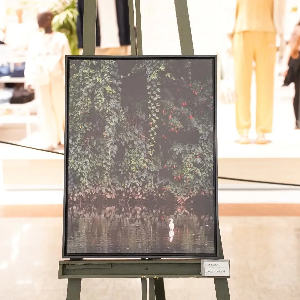 Exposição Além do Olhar no Rio Preto Shopping - 2 - 9