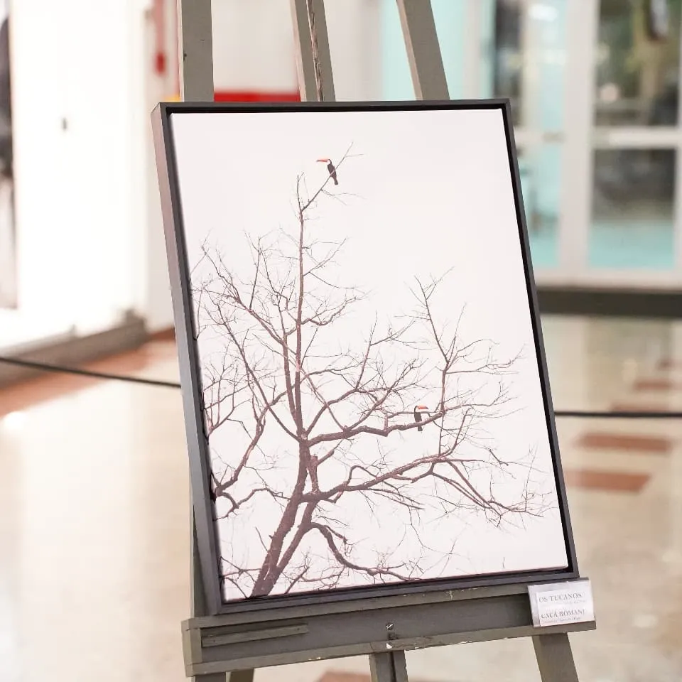 Exposição Além do Olhar no Rio Preto Shopping - 2 - 8